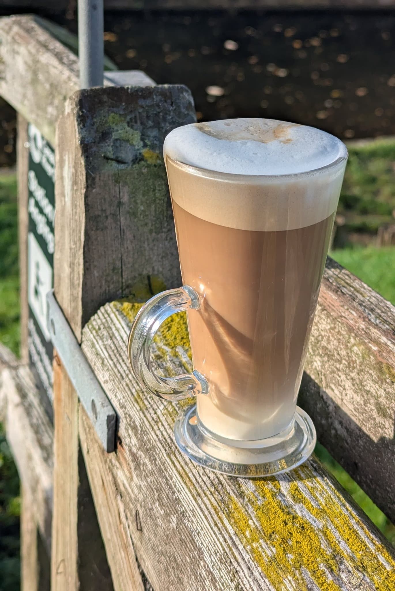 Premium Venezuelan Latte